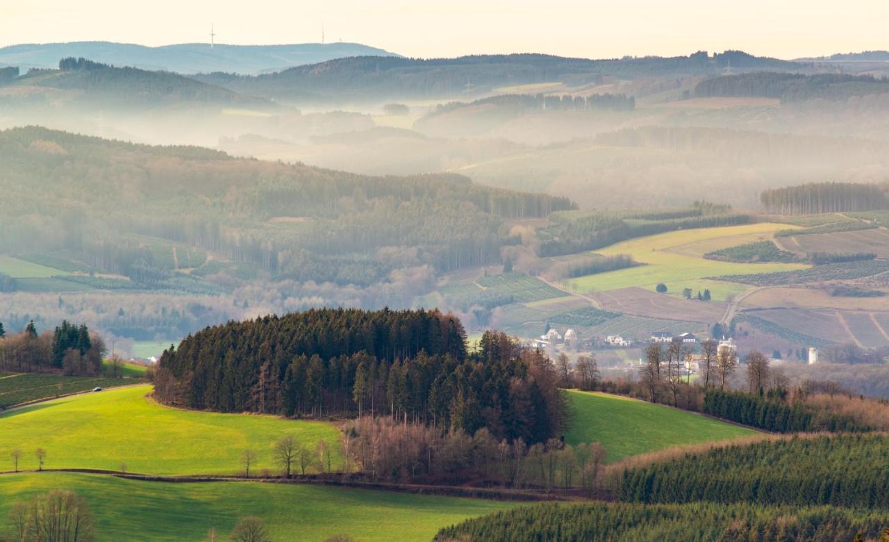 Ferienwohnung Suedhang Winterberg Esterno foto